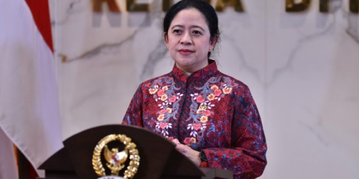 Ketua DPR RI Dr. (H.C.) Puan Maharani. Foto: Eno/Man