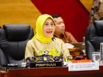 Ketua Komisi X DPR RI Hetifah Sjaifudian. Foto: Dok/vel