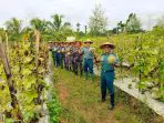 Dinas Pembinaan Potensi Maritim (Dispotmar) Koarmada III melaksanakan panen perdana buah melon seberat 502 kilogram pada Rabu (21/4/2025). Foto: Dispen Koarmada III-01