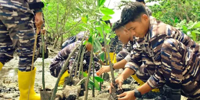 Satuan Tugas (Satgas) Trisila-25 TNI AL bersama Pangkalan TNI AL (Lanal) Nabire dan Dinas Lingkungan Hidup (DLH) Kabupaten Nabire menanam 1.000 batang mangrove di pesisir Pantai Samabusa, Kabupaten Nabire, Provinsi Papua Tengah, pada Senin, (7/7/2025). Foto: Dispen Koarmada III-01